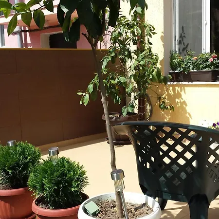 Апартаменты Apartament Ariel Vratsa