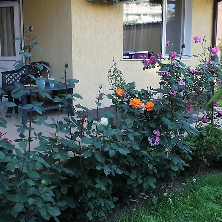 Апартаменты Apartament Ariel Vratsa