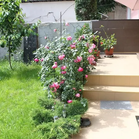 Apartament Ariel *